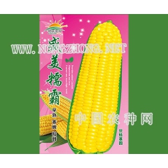 盛美糯霸