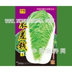 不差钱B