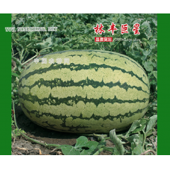 华夏巨星