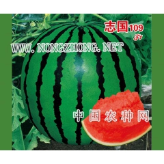 志国109