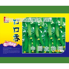 口口香