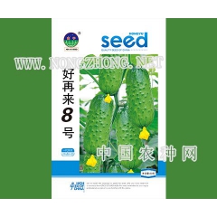 好再来8号