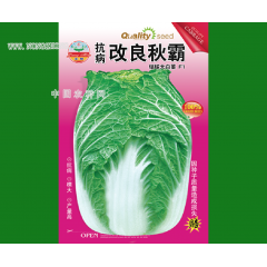 抗病改良秋霸