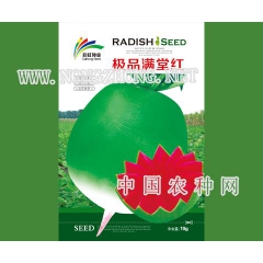 极品满堂红