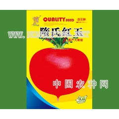 隋氏红玉
