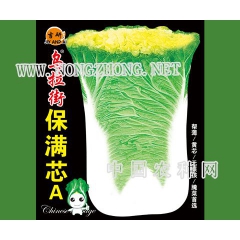 乌拉街保满芯A