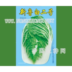 新鲁白二号