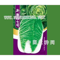 新鲁白七号