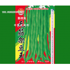 新改良无筋架豆王