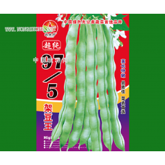超纯97-5