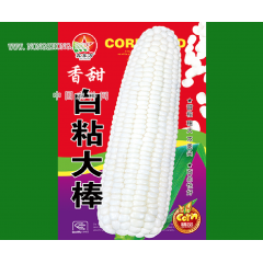 香甜白粘大棒