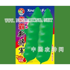 奥霸新将军