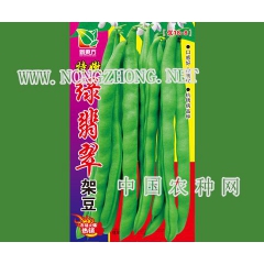 特嫩绿翡翠