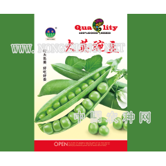 大荚豌豆 20/50g