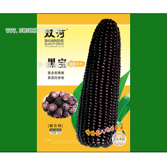 黑宝