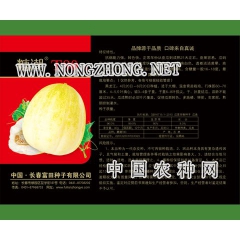 糖潮T80