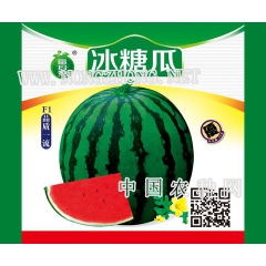 美国冰糖瓜
