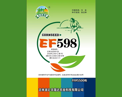 EF598