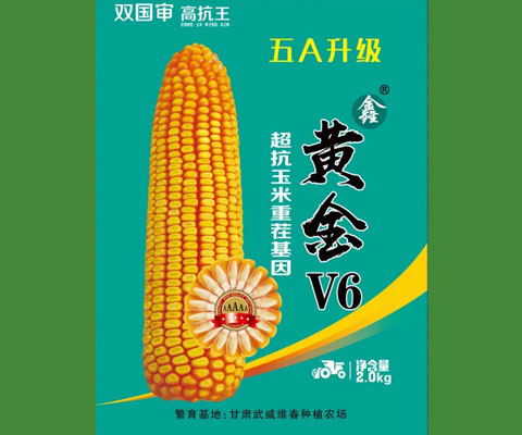 黄金V6