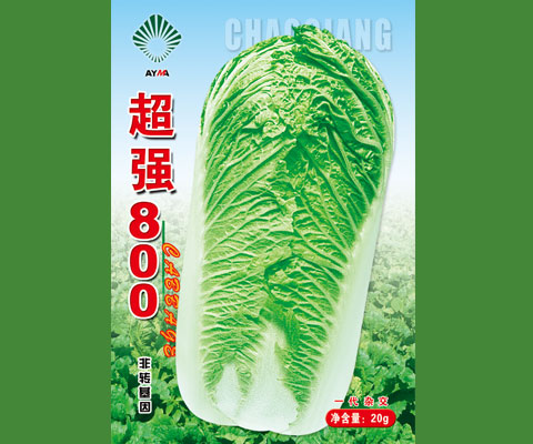 超强800